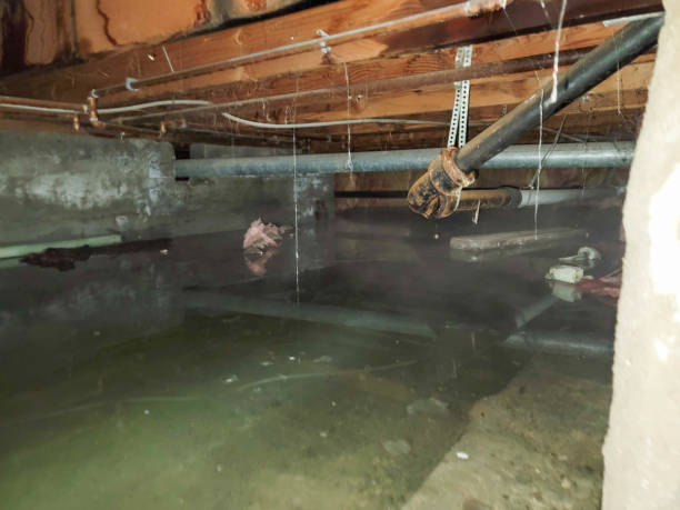 Chouteau, OK Water damage restoration Company