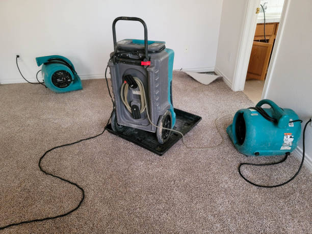 Best Water damage restoration near me  in Chouteau, OK