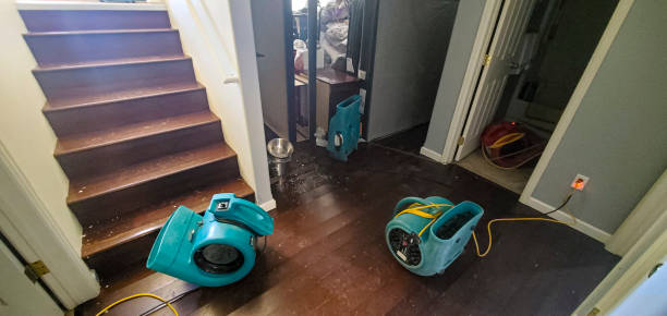 Best Professional water damage repair  in Chouteau, OK